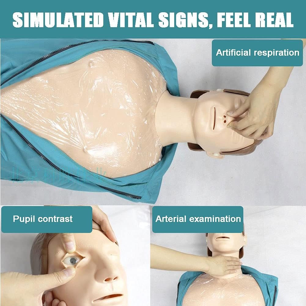 Adult CPR Training Teaching Model